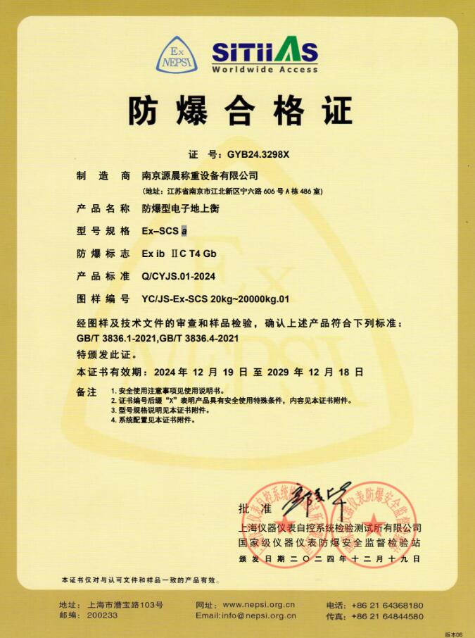防爆型电子地上衡